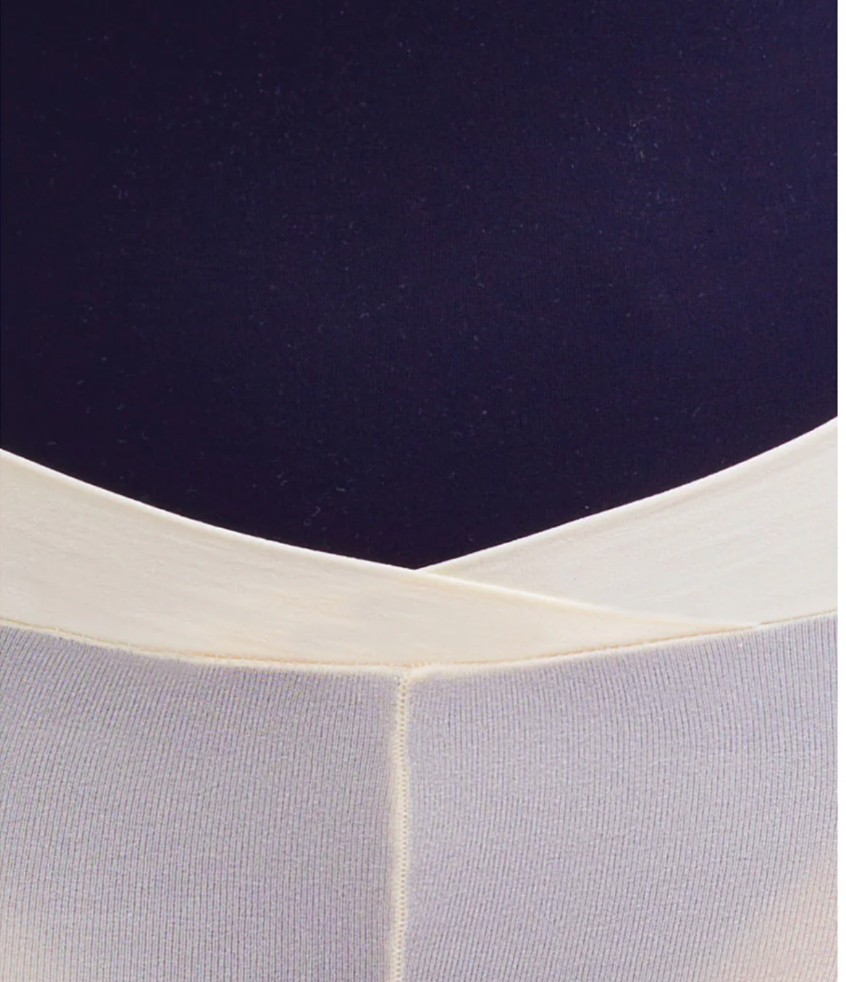 Gaynor Minden Adult Convertible V Waist Tights