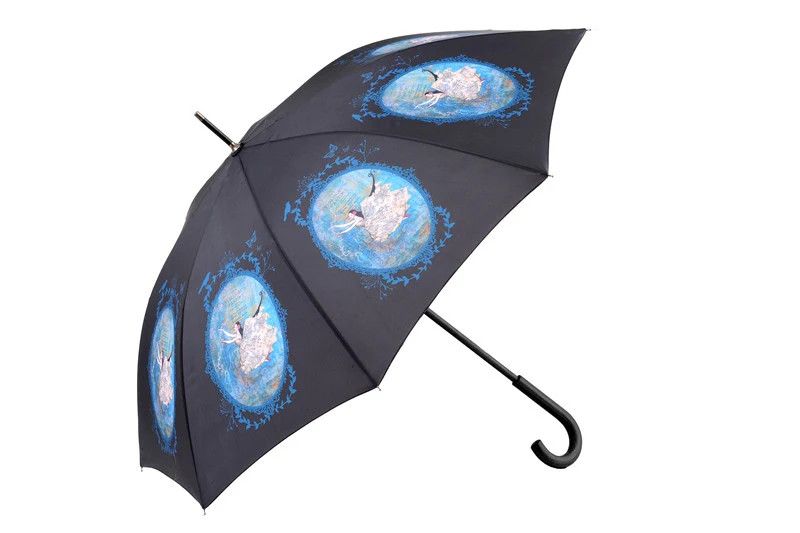 Ballet Umbrella