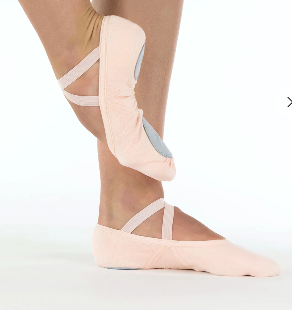 Suffolk Slipor Stretch Canvas Ballet Slipper